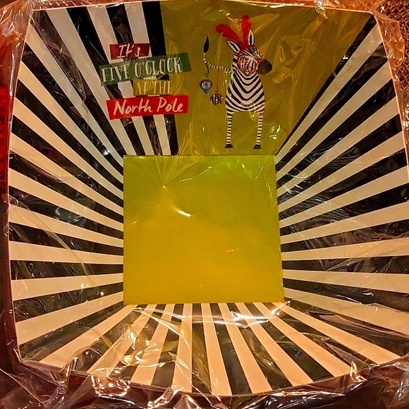 Hot Pink, Lime Green and Zebra Holiday Paper Bowls by Pier 1 Set of 12 - Picture 1 of 6